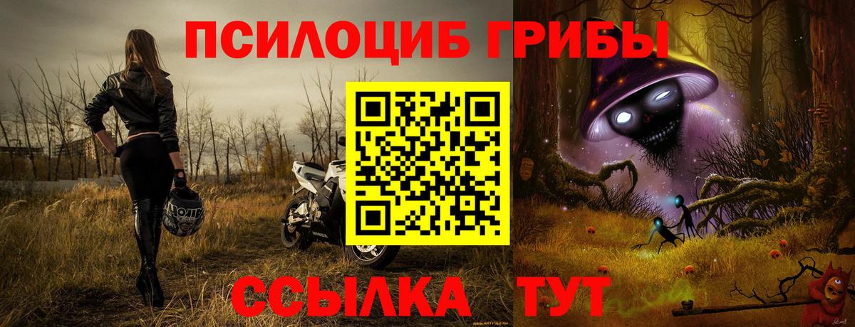 Галлюциногенные грибы Magic Shrooms  Вход с VPN  Лениногорск 