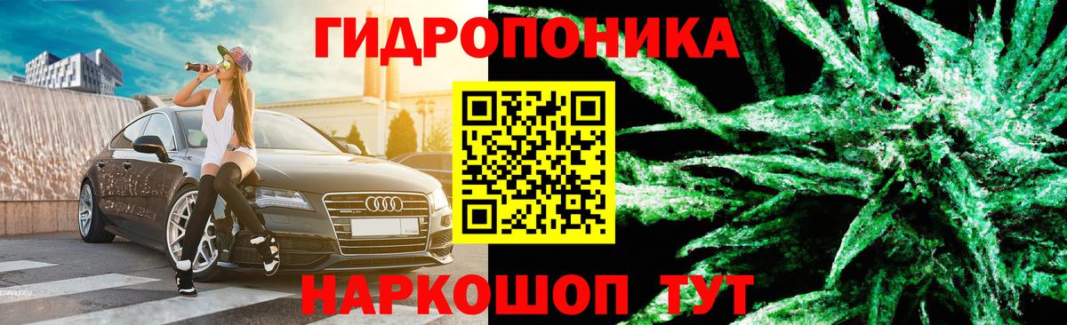 Бошки Шишки семена Лениногорск